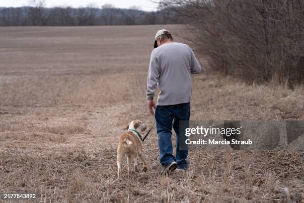 man and his dog walking in field - illinois countryside stock pictures, royalty-free photos & images