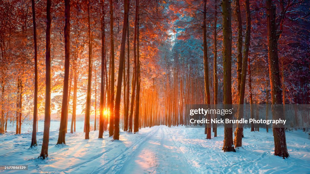 Winter Time