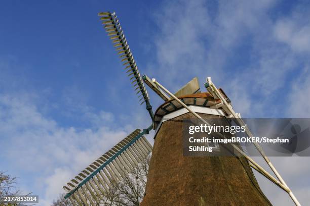 Burlage 72 Burlage Stock Photos, High-Res Pictures, and Images - Getty Images