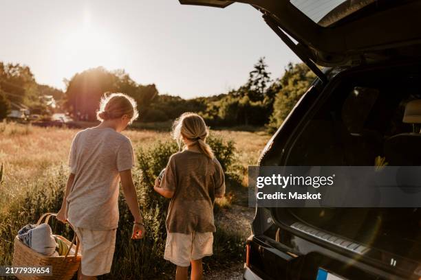 boy holding picnic basket and walking towards meadow with brother at sunny day - car picnic stock pictures, royalty-free photos & images