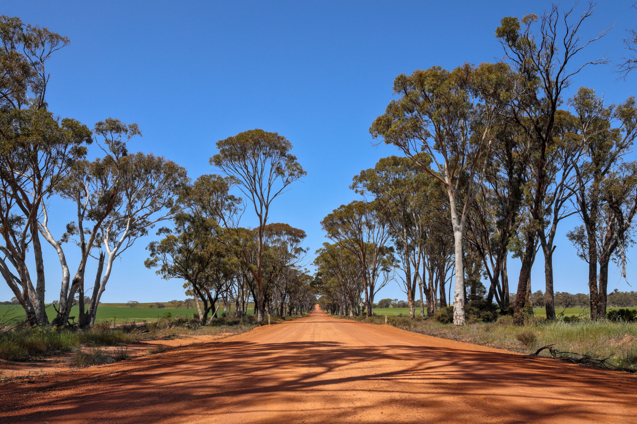 local timber Western Australia
