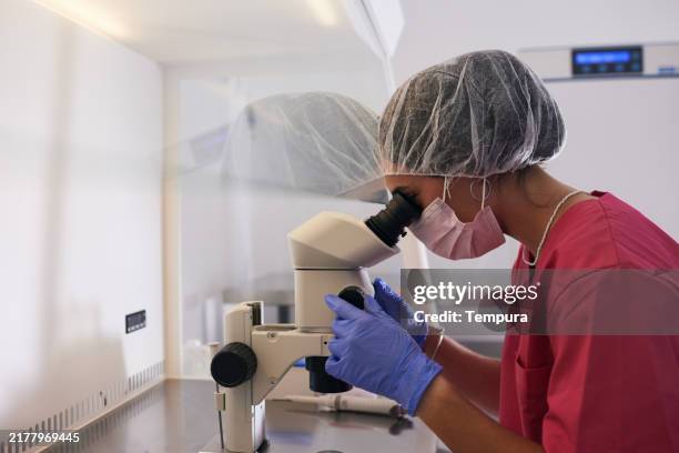 a laboratory technician examines a sample through a microscope. - looking through an object stock pictures, royalty-free photos & images