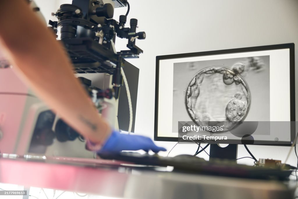Ein Fruchtbarkeitslaborant führt die Befruchtung einer Eizelle akribisch durch.