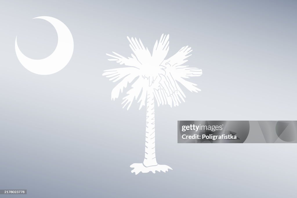 South Carolina State light transparent stylized flag - vector background