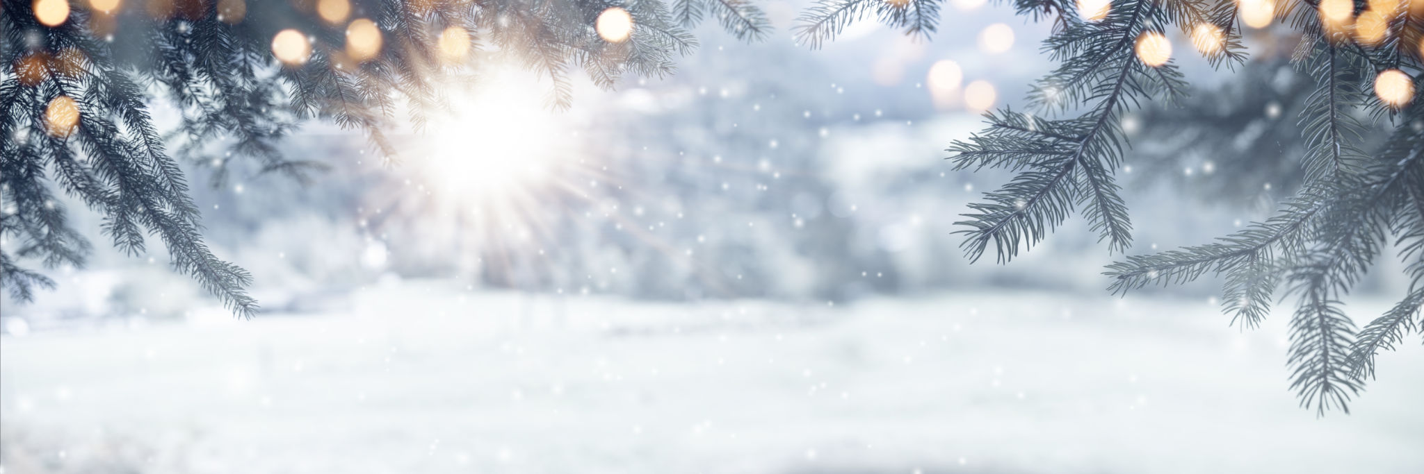 winter snow