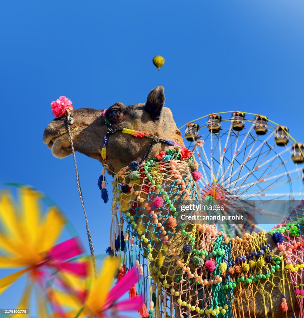 Pushkar Camel Fair