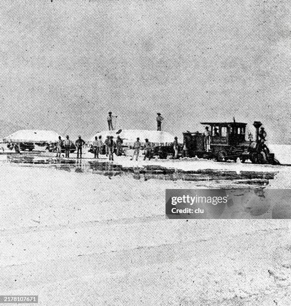 california, salt train on the surface of lake salton - salton sea stock illustrations