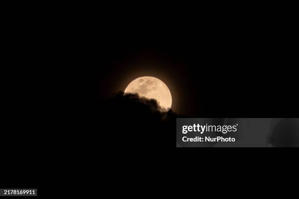 Java Moon 4,595 Java Moon Stock Photos, High-Res Pictures, and Images - Getty Images