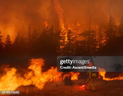 Fire fighter creating a backfire Fire fighter creating a backfire