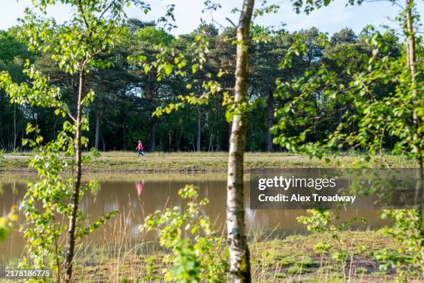 the basingstoke canal - basingstoke canal stock pictures, royalty-free photos & images
