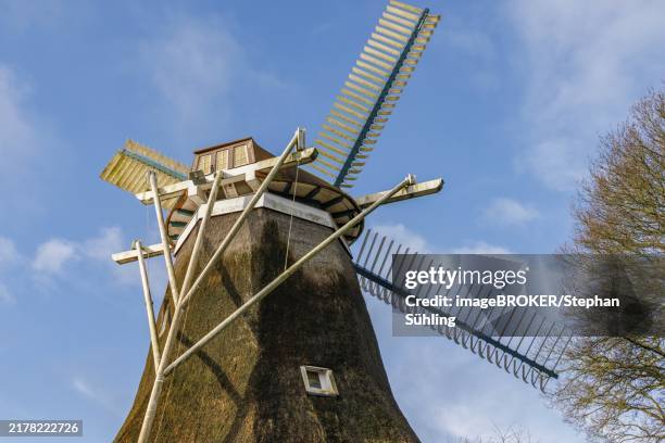 Burlage 72 Burlage Stock Photos, High-Res Pictures, and Images - Getty Images