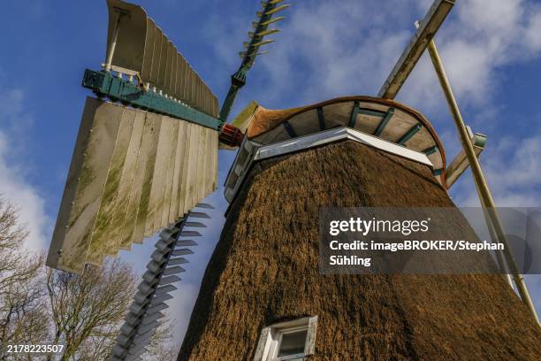 Burlage 35 Burlage Stock Photos, High-Res Pictures, and Images - Getty Images