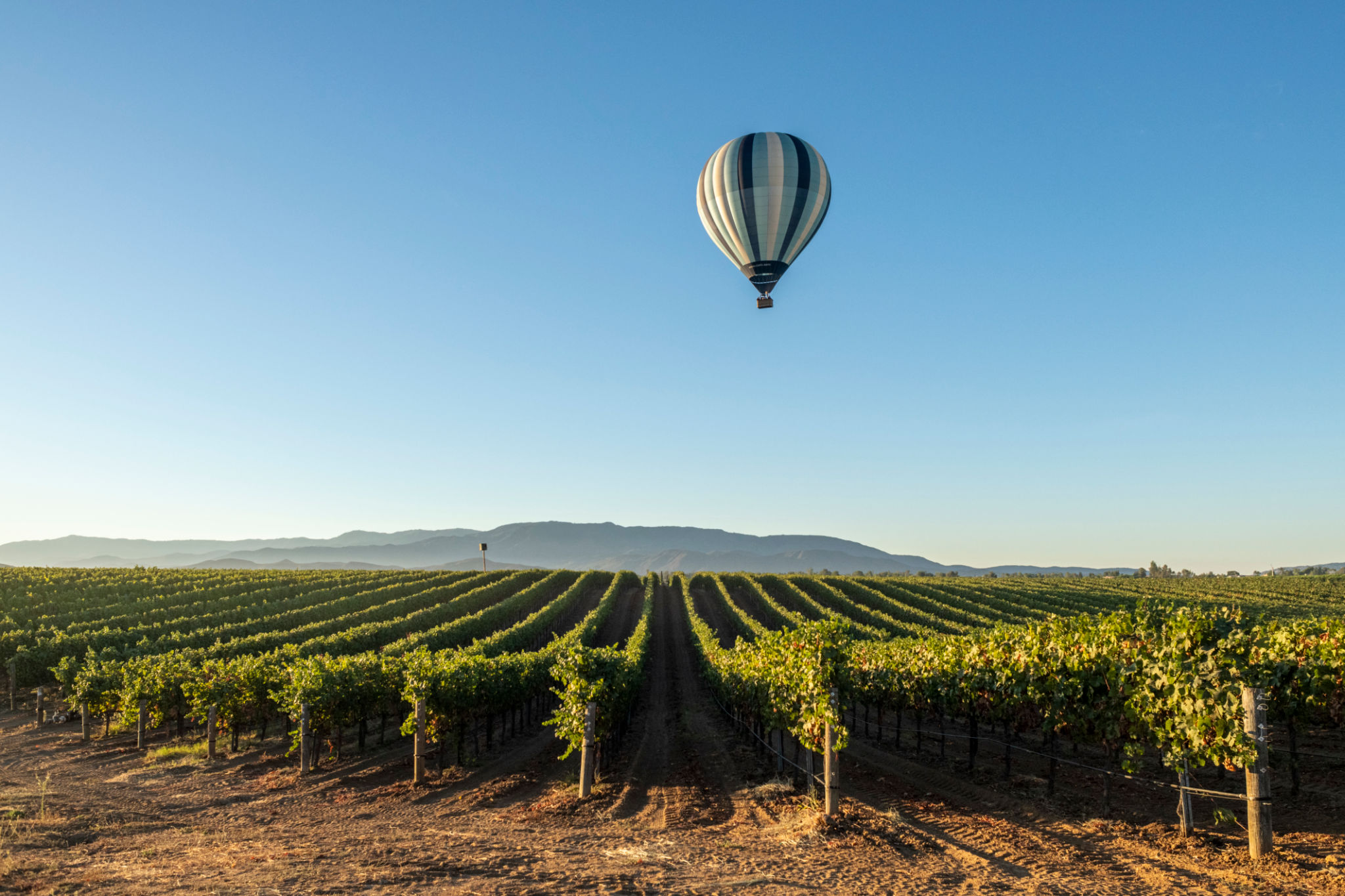 autumn balloons