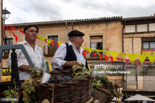 grape harvest festival in toro, zamora, spain. - zamora provincie stockfoto's en -beelden