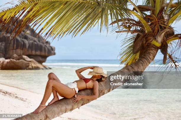carefree woman on a palm tree hiding her face with straw hat. - lying down stock pictures, royalty-free photos & images