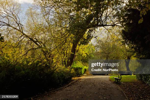 John Ropner 16 Ropner Park Stockton On Tees Stock Photos, High-Res Pictures, and ...