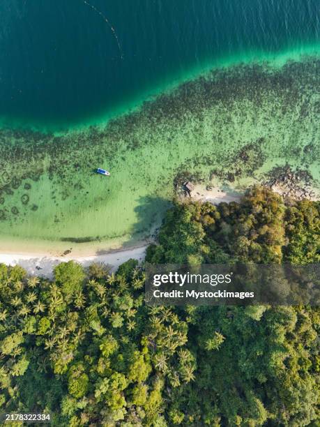 luftaufnahme der tropischen inselküste und des kristallklaren wassers - borneo stock-fotos und bilder