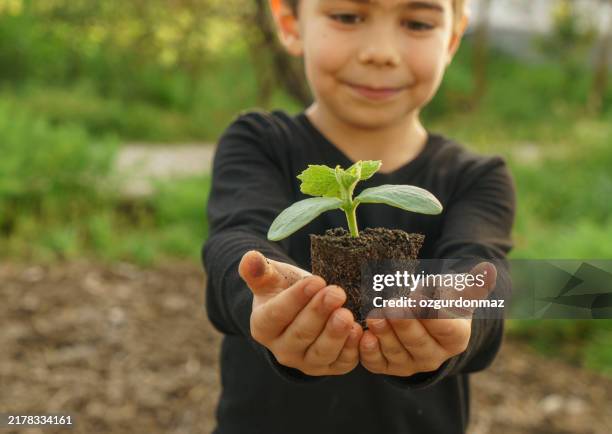 niño sosteniendo la planta en la granja - sembrar fotografías e imágenes de stock