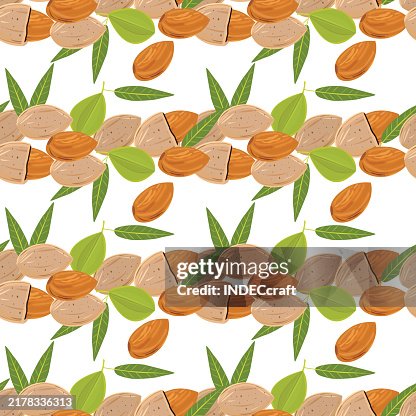 Almond seamless pattern Almond seamless pattern