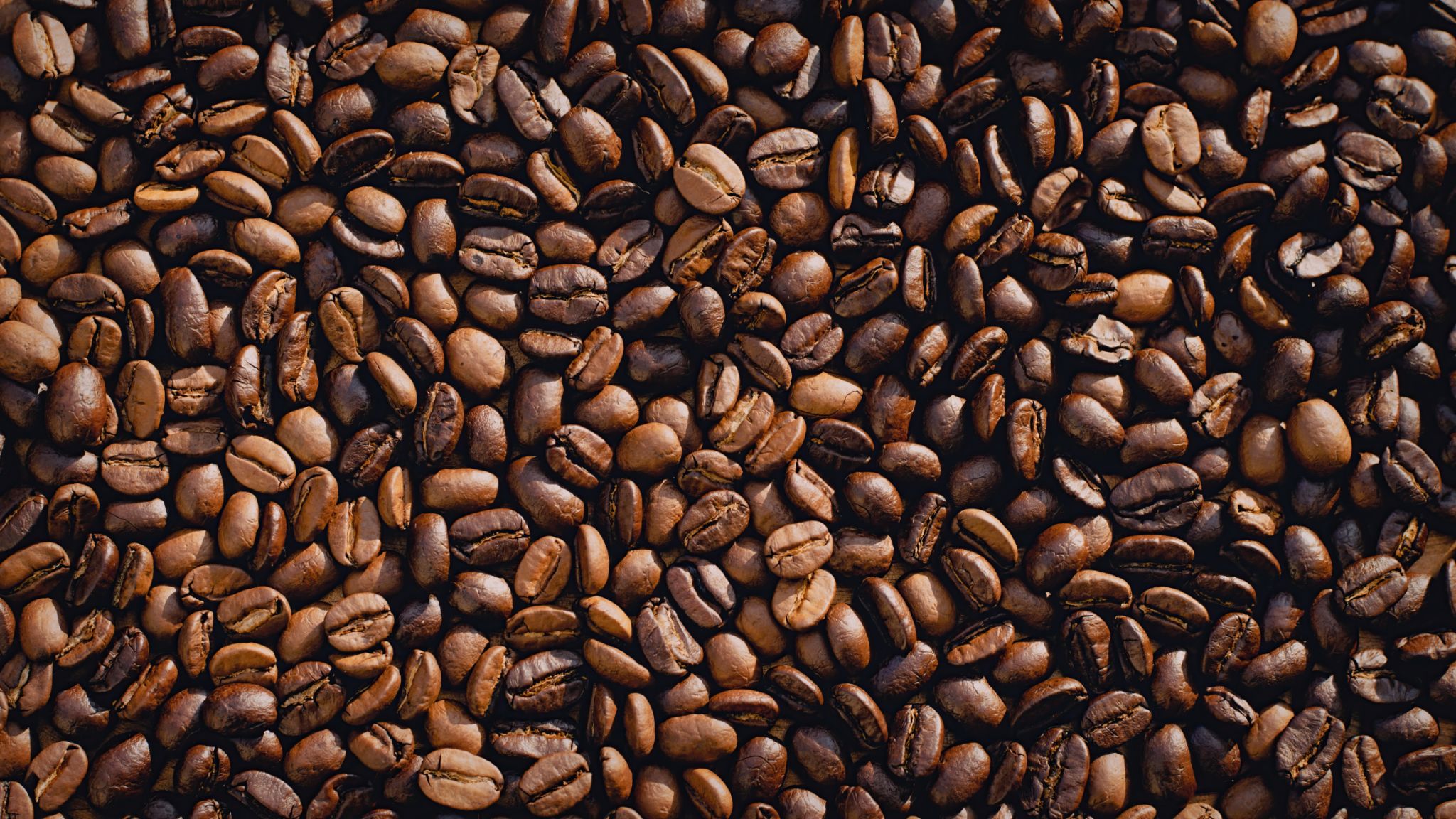 coffee beans