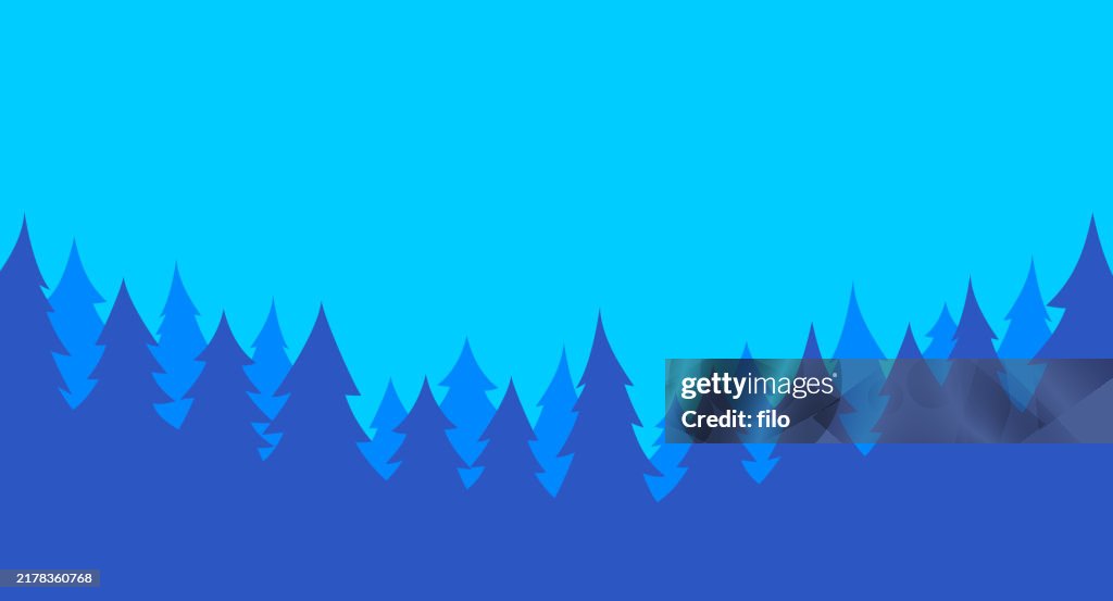 Forest Evergreen Pine Tree Landscape Background