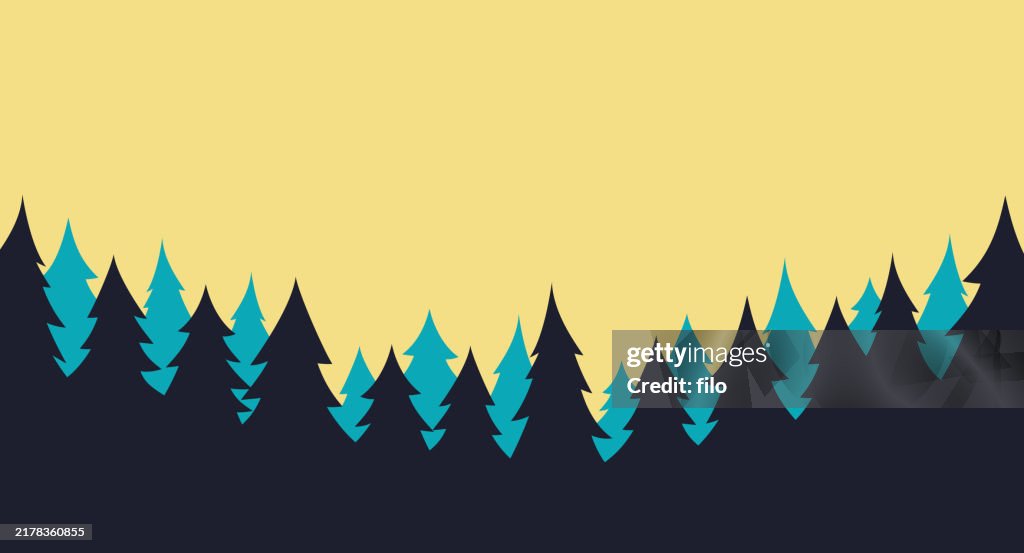 Forest Evergreen Pine Tree Landscape Background