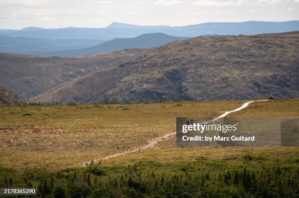 flat topped peak of mont albert, gaspe peninsula, quebec, canada - gaspe peninsula stock pictures, royalty-free photos & images