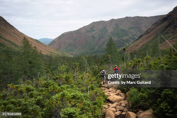 rugged landscape of mont albert, gaspe peninsula, quebec, canada - gaspe peninsula stock pictures, royalty-free photos & images