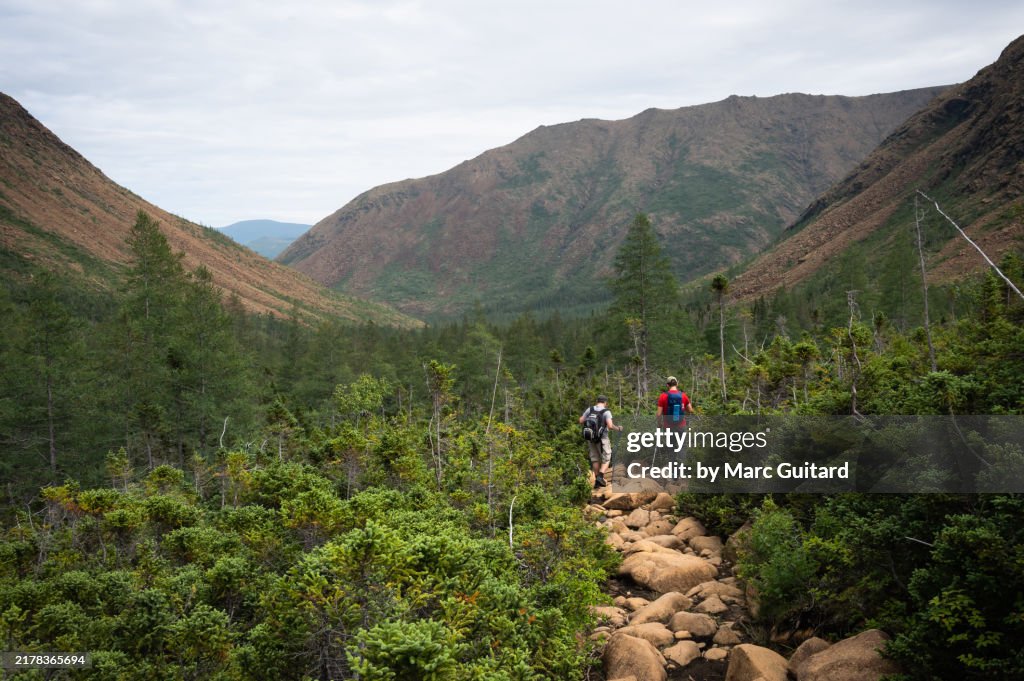 Rugged landscape of Mont Albert, Gaspe Peninsula, Quebec, Canada