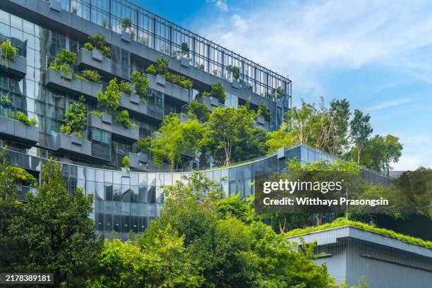 modern sustainable building with lush vertical garden exterior - sustainable business stock pictures, royalty-free photos & images