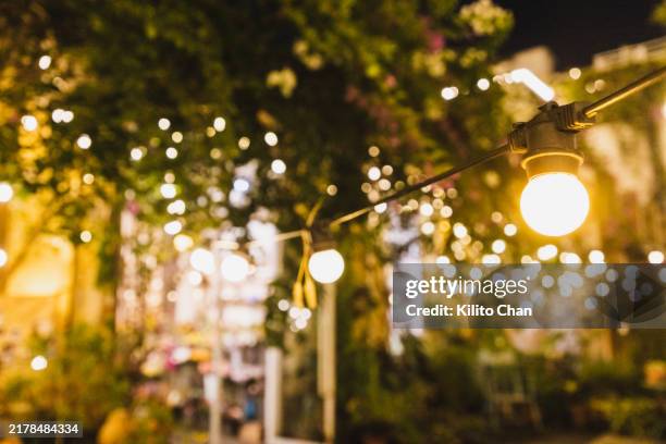 string light illuminated at night in the garden - cadena de luces fotografías e imágenes de stock