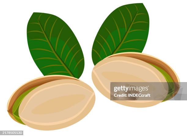 pistachio - salt flakes stock illustrations
