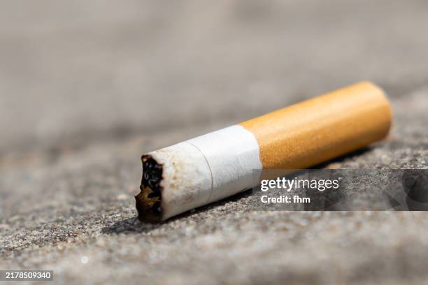 cigarette butt on the sidewalk - stubbing out cigarette stock pictures, royalty-free photos & images
