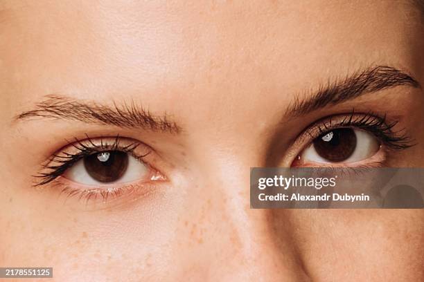 extreme close up of female brown eyes with clear skin eyebrows eyelashes and freckles looking at camera - augenbraue stock-fotos und bilder