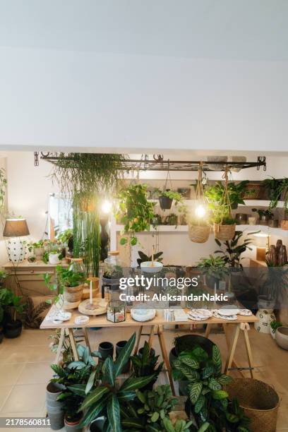 a cozy flower shop - tuincentrum stockfoto's en -beelden