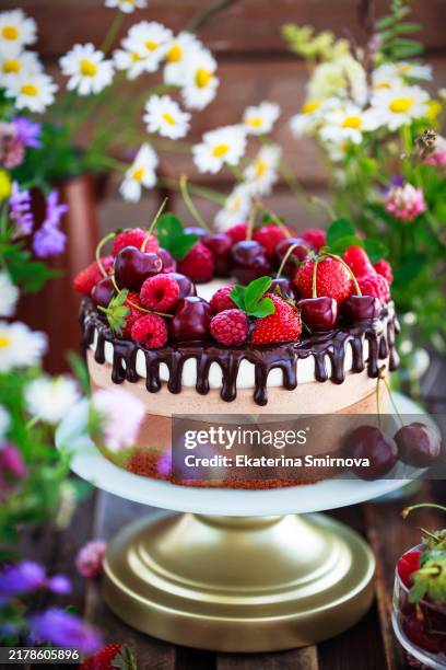 delicious homemade three chocolate mousse cake decorated with fresh berries - pie stockfoto's en -beelden