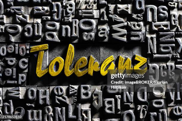 Old Lead Letters With Golden Writing Word Tolerance High-Res Vector ...