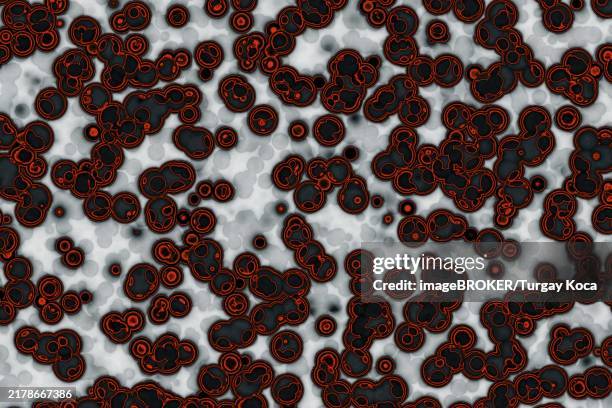 fake microorganisms. microbiology. bacteria, cells, viruses, germs, microorganisms - gone wrong stock illustrations