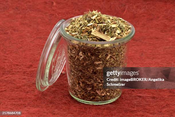 willows (salix), dried - willow bark stock pictures, royalty-free photos & images