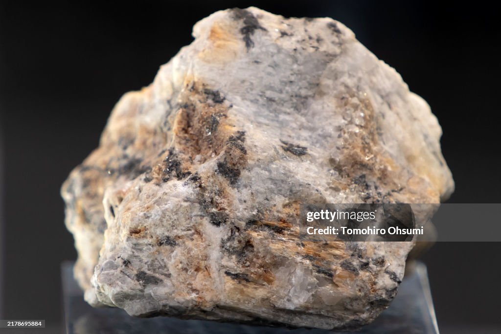 Latest Technologies Are Displayed At Japan Mobility Show Buzweek And Ceatech