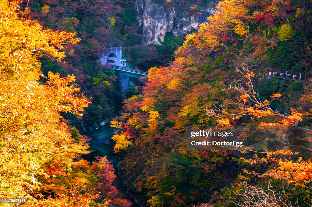 JR Tohoku Line Train on the Bridge across Naruko Gorge in Autumn, Miyagi, Japan