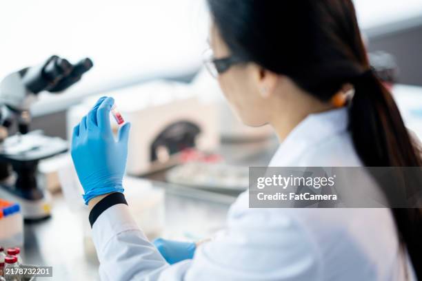 analyzing plasa samples - oncology stock pictures, royalty-free photos & images