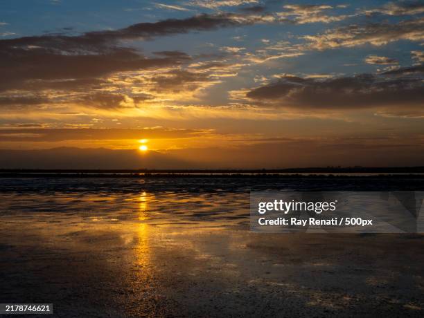 scenic view of beach during sunset,palo alto,california,united states,usa - palo alto stock-fotos und bilder