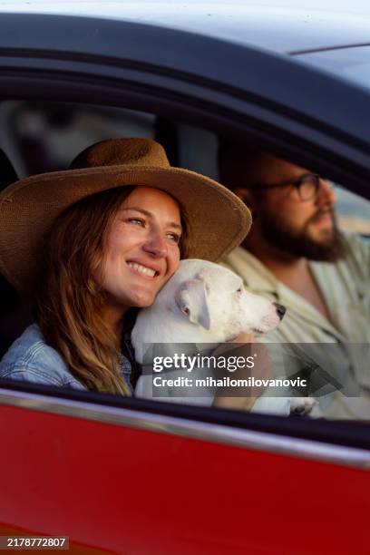 voyage en voiture avec un chien - red car couple photos et images de collection