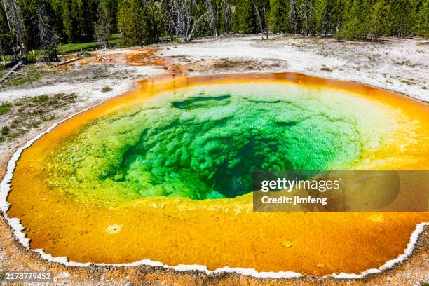 vista de la piscina morning glory de la erupción del géiser old faithful en el parque nacional de yellowstone, wyoming, ee. uu. - parque-nacional-de-yellowstone fotografías e imágenes de stock