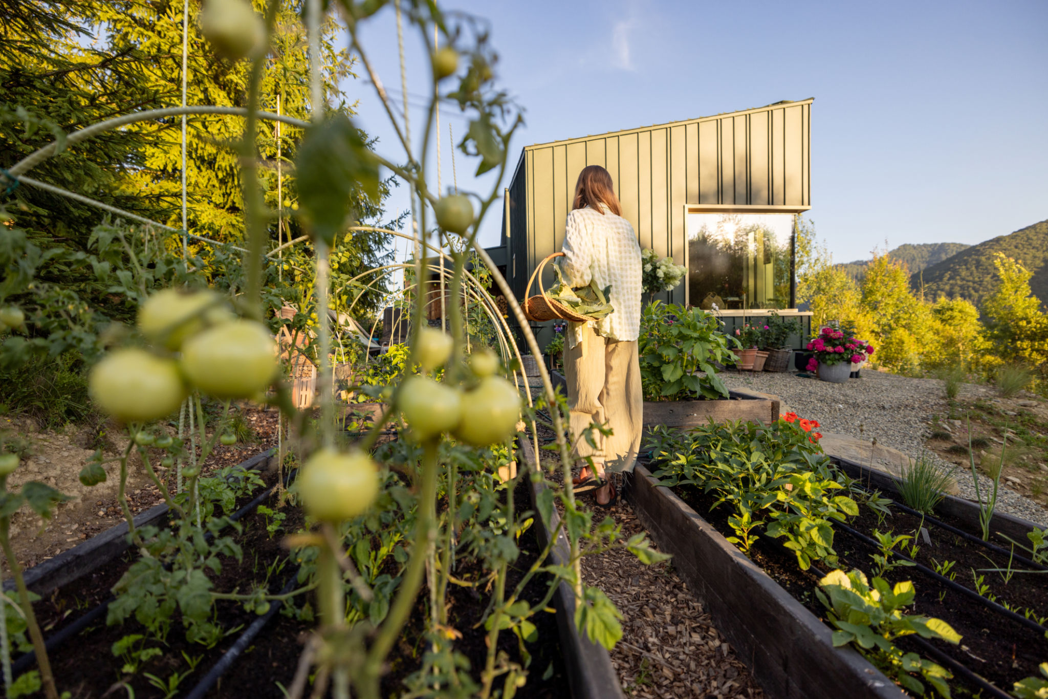 edible garden