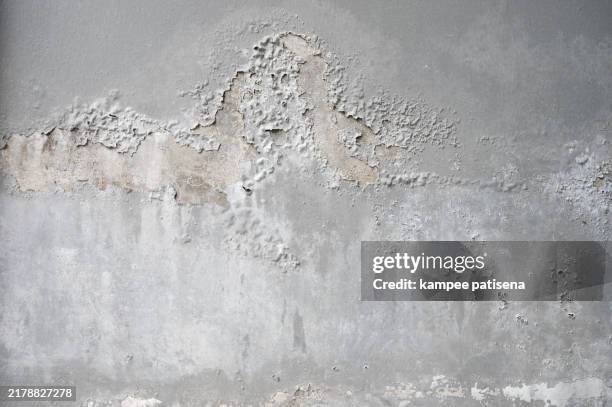 weathered grey concrete wall - pelar mala condición fotografías e imágenes de stock
