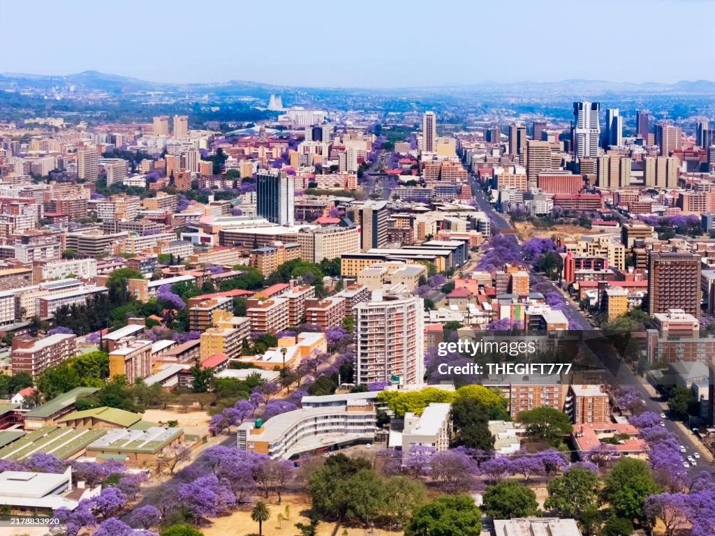 Pretoria / Tshwane City with Jacarandas