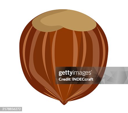 Hazelnut Hazelnut