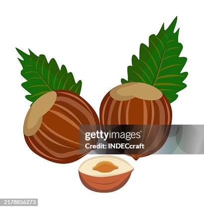 Hazelnut Hazelnut